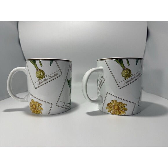 Lot Of 2 Tiffany & Co. Floral Design Botanical Coffee Tea Mug Cup Portugal Vtg - Picture 3 of 6